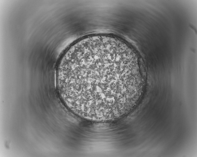 X0000102531171200808291813