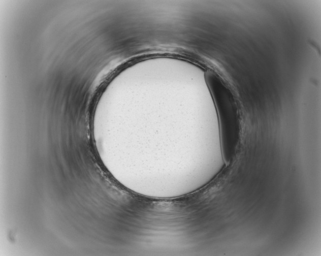 X0000102531172200808291813