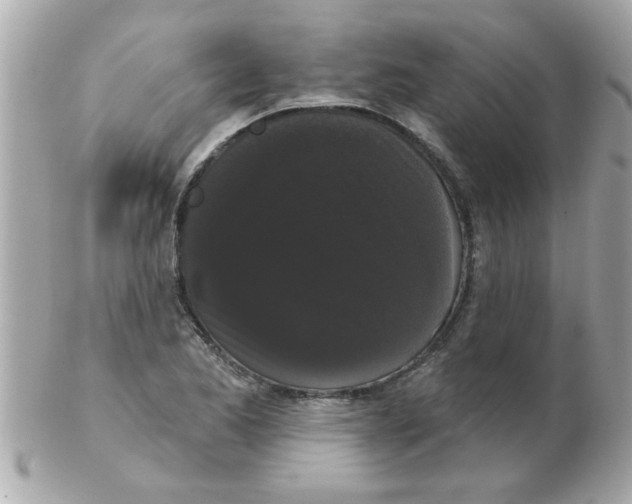 X0000102531173200808291813