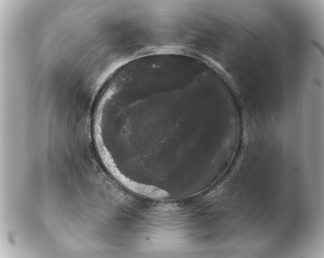 X0000102531174200808291813