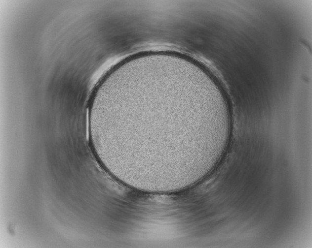 X0000102531175200808291813