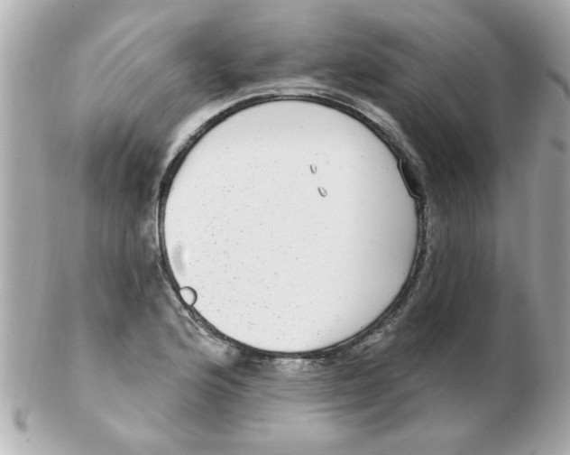 X0000102531176200808291813