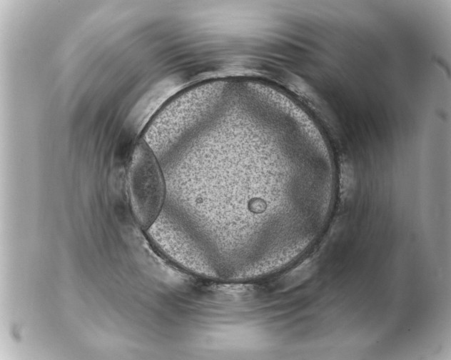 X0000102531177200808291813