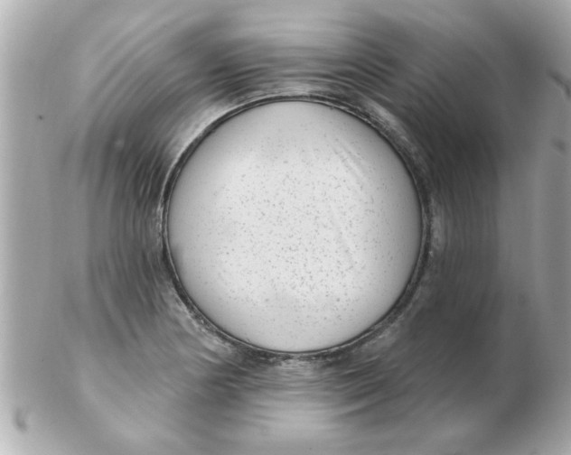 X0000102531178200808291813