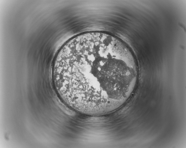 X0000102531179200808291813