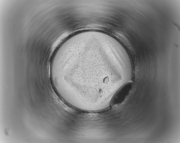 X0000102531180200808291813