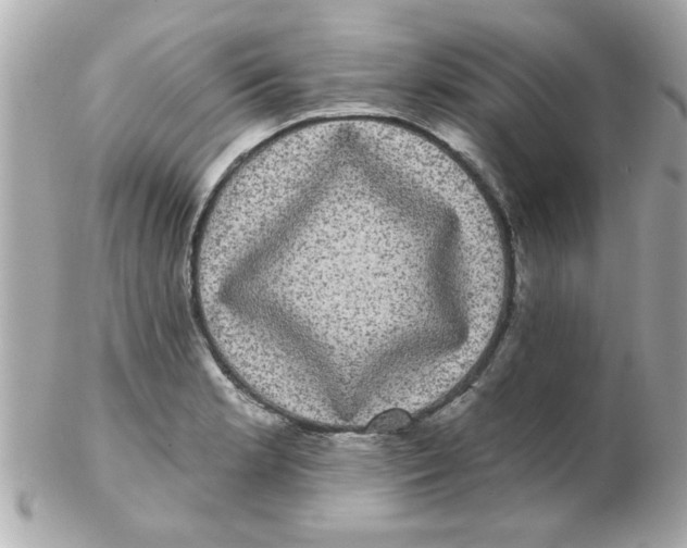 X0000102531181200808291813