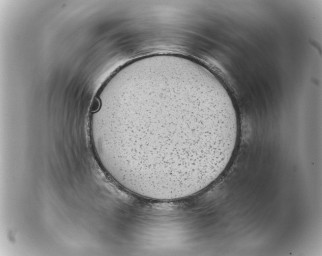 X0000102531182200808291813