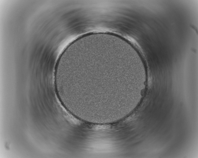 X0000102531183200808291813