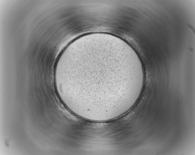 X0000102531184200808291813