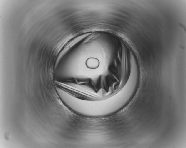 X0000102531185200808291813