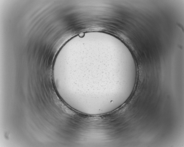 X0000102531186200808291813