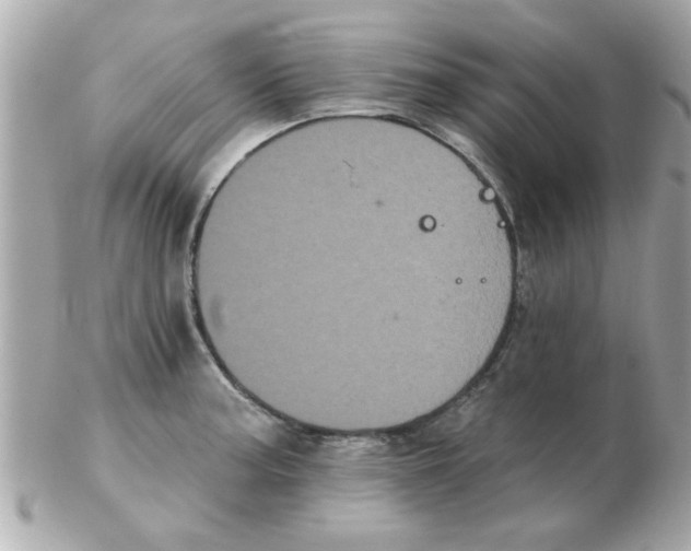 X0000102531187200808291813