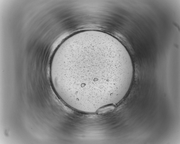 X0000102531188200808291813