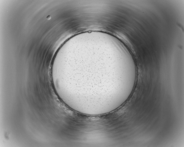 X0000102531190200808291813