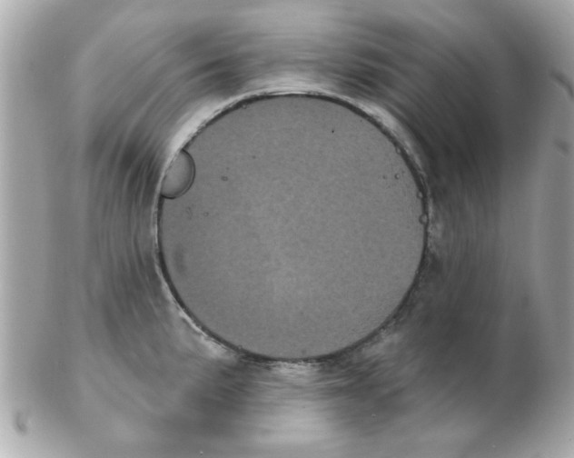 X0000102531191200808291813