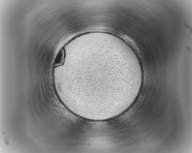 X0000102531192200808291813