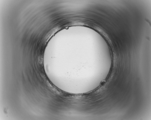 X0000102531193200808291813