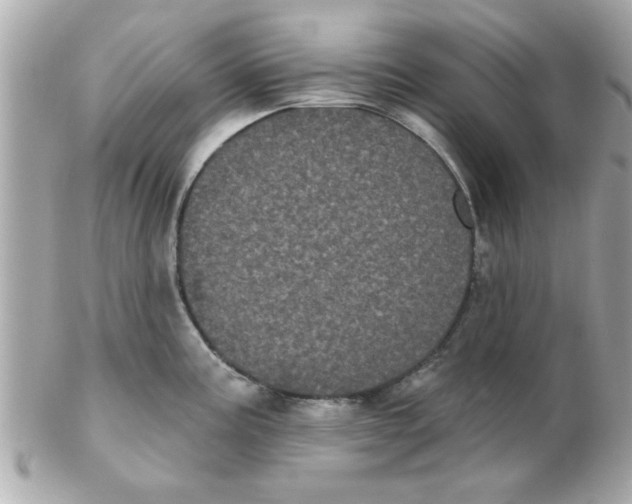 X0000102531195200808291813