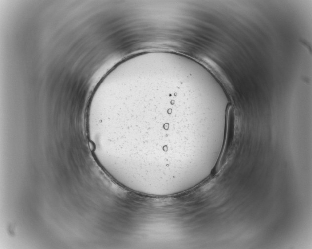 X0000102531196200808291813