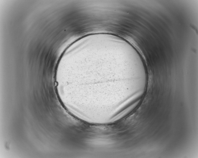 X0000102531197200808291813