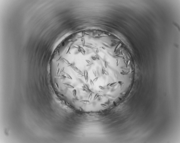 X0000102531198200808291813