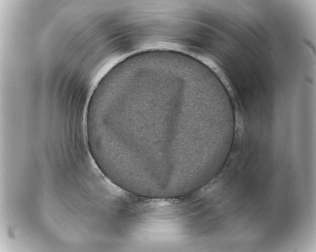 X0000102531199200808291813