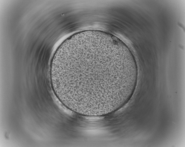 X0000102531200200808291813