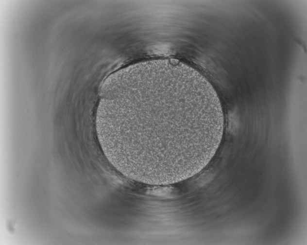 X0000102531201200808291812