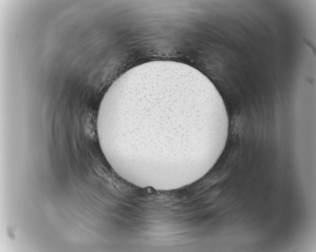 X0000102531202200808291812