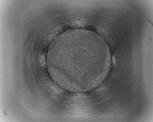 X0000102531203200808291812