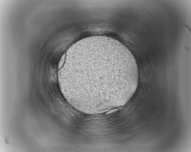 X0000102531204200808291812