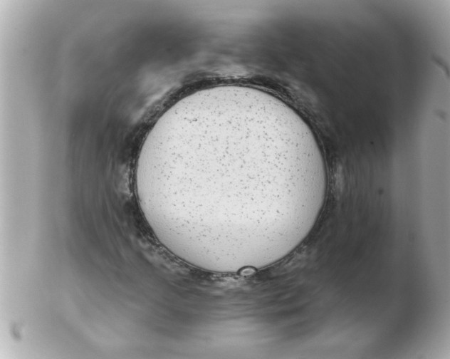 X0000102531205200808291812