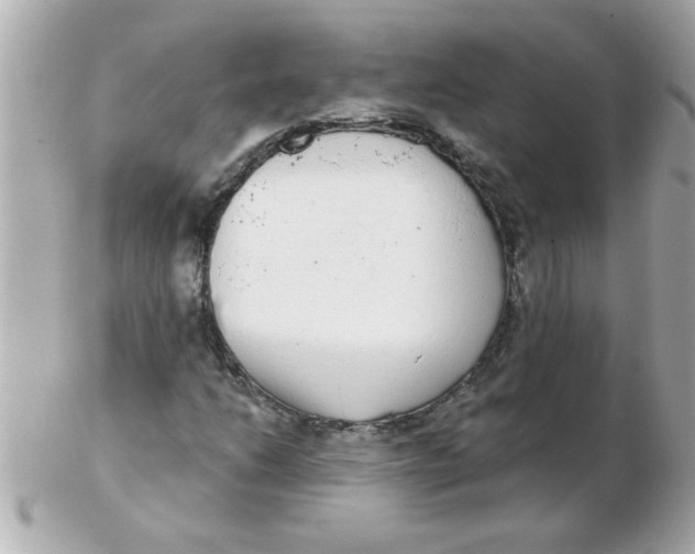 X0000102531206200808291812