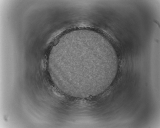 X0000102531207200808291812