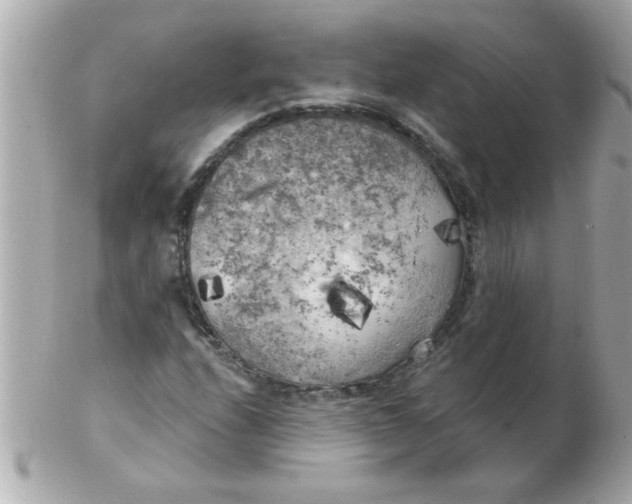 X0000102531208200808291812