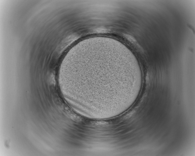 X0000102531209200808291812