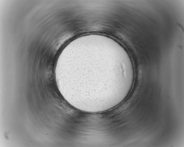 X0000102531210200808291812