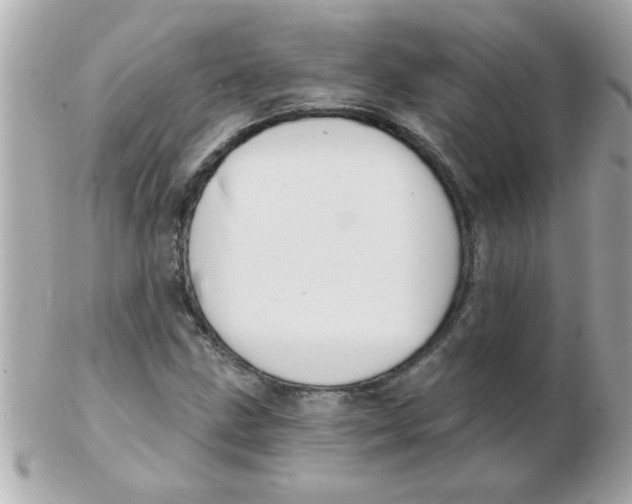 X0000102531211200808291812