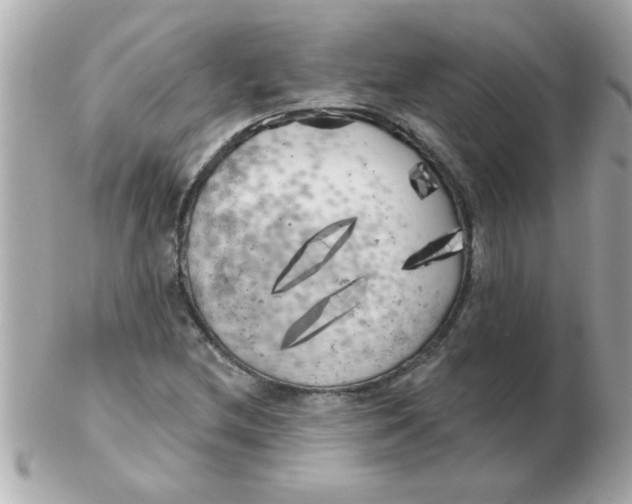 X0000102531212200808291812