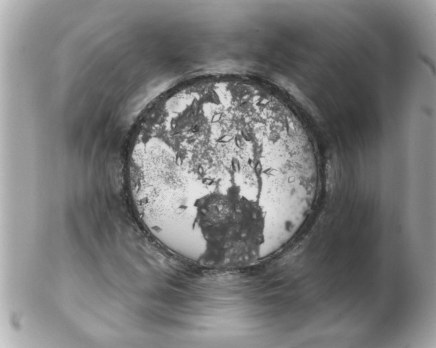 X0000102531213200808291812