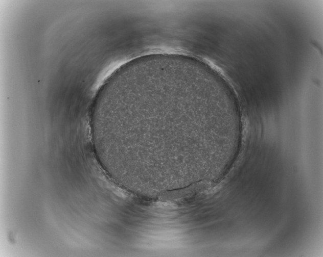 X0000102531215200808291812