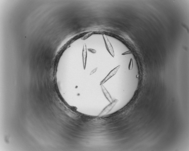 X0000102531216200808291812