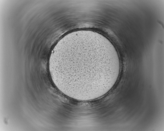 X0000102531217200808291812