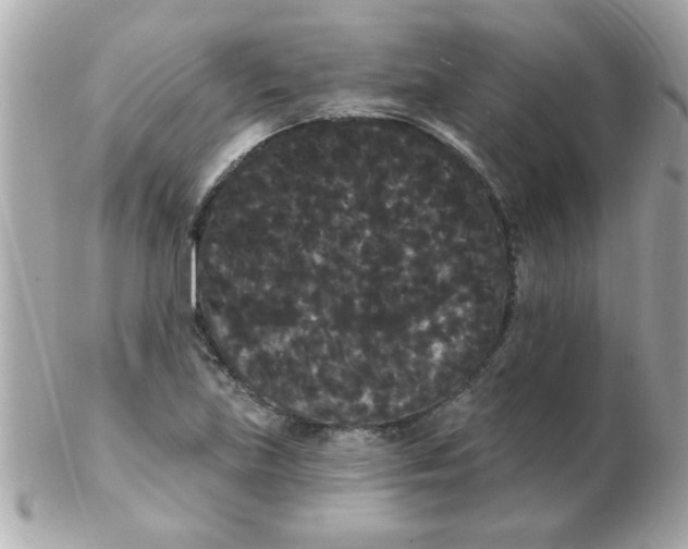 X0000102531219200808291812