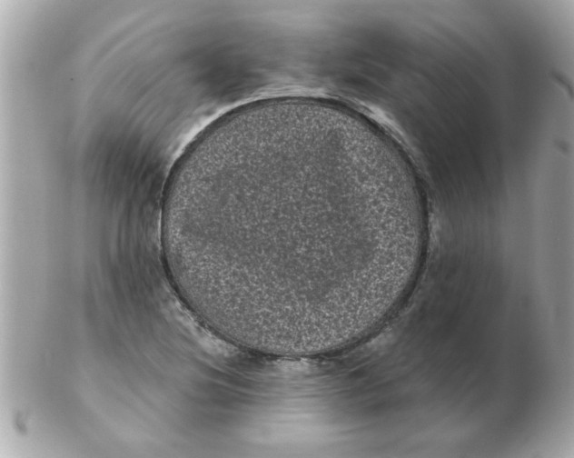 X0000102531220200808291812