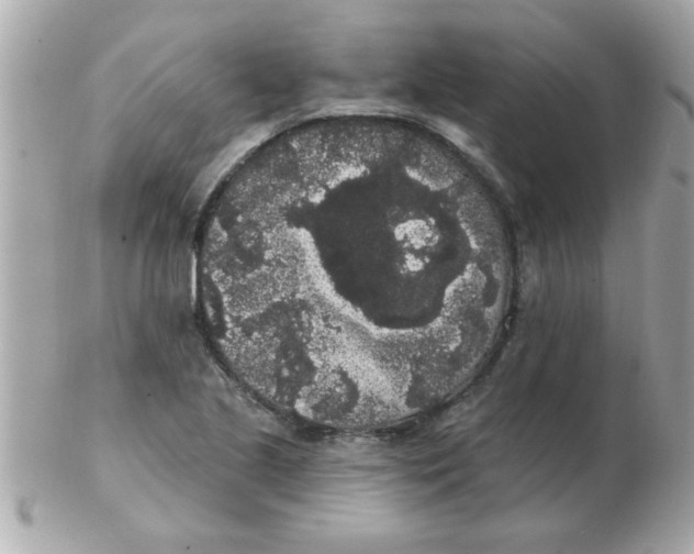 X0000102531221200808291812