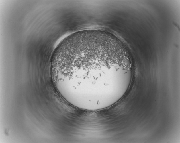 X0000102531222200808291812