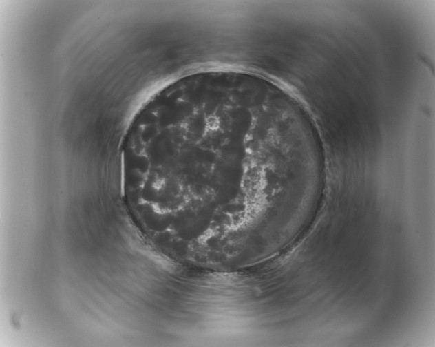 X0000102531223200808291812