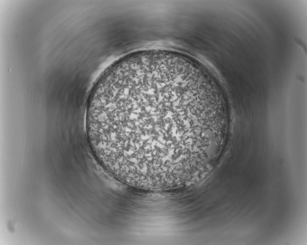 X0000102531224200808291812